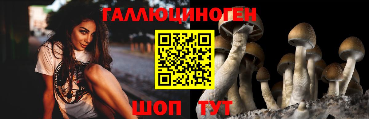 Псилоцибиновые грибы Psilocybe Урай
